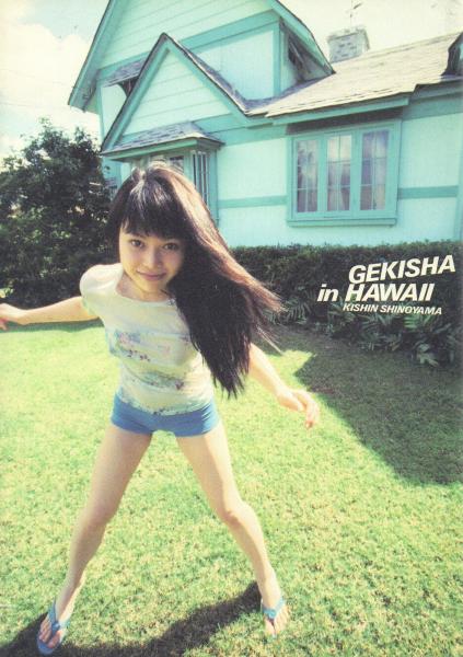GEKISHA in HAWAII(Kishin Shinoyama [篠山紀信]) / 古本、中古本、古