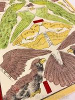 幼稚園玩弄鳥拵画版権取有 【明治29年 おもちゃ絵】
