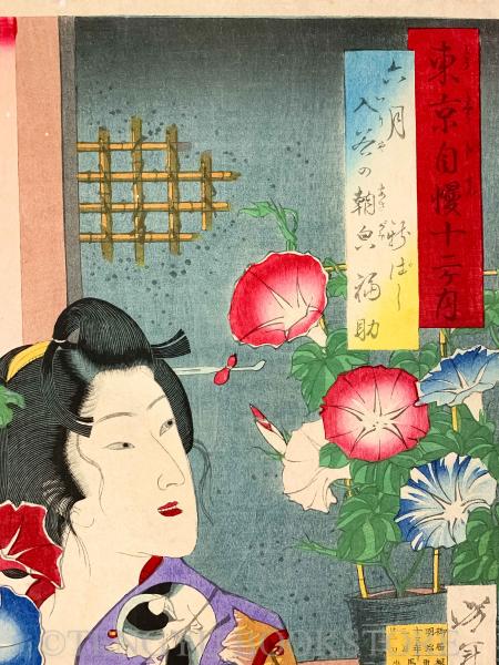 東京自慢十二ヶ月 六月入谷の朝顔 新ばし福助 【明治13年 月岡芳年