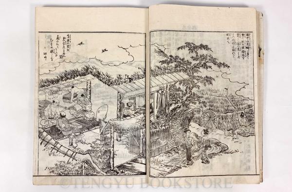 河内名所図会 全6冊揃 【享和元年跋 和本】(秋里籬島 編/丹羽桃