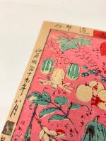 新撰水菓子果物盡 【明治19年  おもちゃ絵】