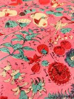 新撰水菓子果物盡 【明治19年  おもちゃ絵】