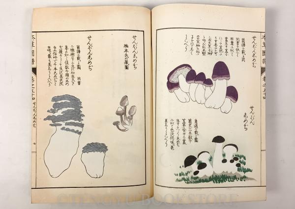 本草図譜 巻54 菜部 芝栭類(岩崎常正) / 古本、中古本、古書籍の 本草図譜 巻54 菜部 芝栭類(岩崎常正) / 古本、中古本、古書籍の