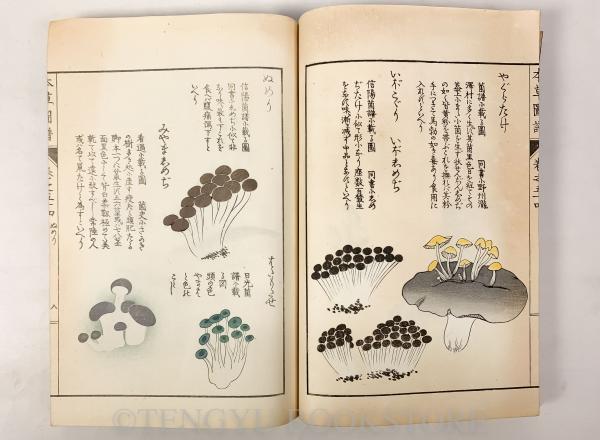 本草図譜 巻54 菜部 芝栭類(岩崎常正) / 古本、中古本、古書籍の通販は
