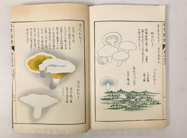 本草図譜 巻54 菜部 芝栭類(岩崎常正) / 古本、中古本、古書籍の通販は