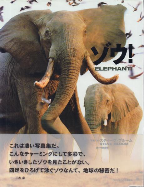 ゾウ Elephant 写真集 スティーヴ ブルーム 写真 文 今泉吉晴 訳 古本 中古本 古書籍の通販は 日本の古本屋 日本の古本屋