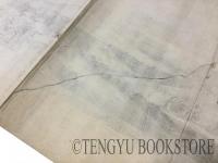 Iedo  モンタヌス「江戸」図版[17世紀 銅版画 一枚物]