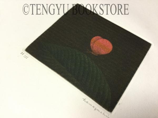浜口陽三 版画作品集 豪華特装本 オリジナル色彩銅版画付(浜口 浜口陽三 版画作品集 豪華特装本 オリジナル色彩銅版画付(浜口