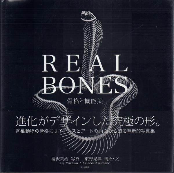 REAL BONES 骨格と機能美(湯沢英治 写真/東野晃典 構成・文) / 古本