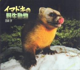 イマドキの野生生物