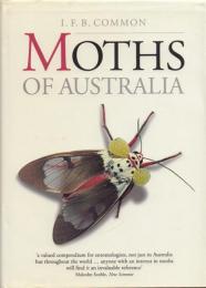 Moths of Australia [オーストラリアの蛾]