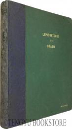 Contribucao para a Hstoria Natural dos Lepidopteros do Brasil ブラジルの鱗翅目 [20世紀初期 南米 蝶・蛾 昆虫図鑑 博物画]