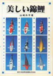 美しい錦鯉