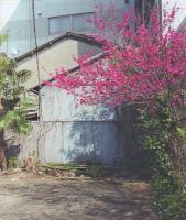 鷹野隆大 毎日写真 1999-2021 (TAKANO RYUDAI DAILY PHOTOGRAPHS 1999-2021)
