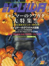 ビー・クワ No.30 ミャンマーのクワガタ大特集!!