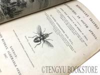 Missionary Travels and Researches in South Africa リヴィングストン「アフリカ探検記」初版 [19世紀 アフリカ 紀行]