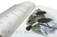 The Birds of Paradise and Bower Birds