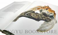 Raymond Ching The Bird Paintings