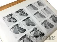 The Generic Names of Moths of The World 世界の蛾の属名 全6冊揃