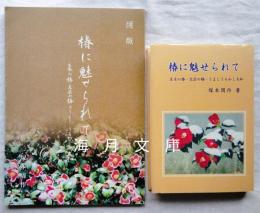 椿に魅せられて 生木の椿・文芸の椿・うましうるわし大和+図版編　2冊一括　※正誤表付