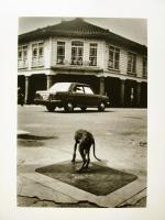 另一種目線　王信 攝影展　毎日誌