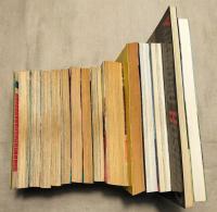 星野之宣作品　はるかなる朝　海の牙　ブルーシティ全2巻　残像　妖女伝説全2巻　巨人たちの伝説　ヤマトの火　イワン・デジャビュの一日　スターダストメモリーズ　サーベルタイガー・星野之宣SF傑作集　彼女の想いで　大いなる回帰　14冊一括