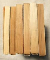 松本零士　親不知讃歌　機械化人都市　インセクト　電光オズマ１　パニックワールド　魔女天使　　6冊一括（分売不可）