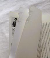 徐悲鴻　中國近代寫實繪畫的奠基者