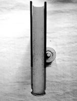 Caliban (Major Literary Characters)