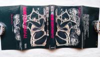 原爆はおちなかった : 《ヒロシマ》…わが愛