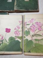 西洋草花図譜　全5巻