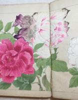 西洋草花図譜　全5巻