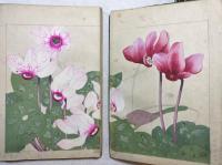 西洋草花図譜　全5巻
