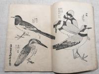 尾形流画譜　上・中・下　全3巻