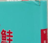 三面川の鮭 : 越後村上 : 写真　※正誤表付