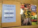 御所の四季　京都御所+仙洞御所　2冊組