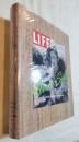 LIFE　 Alexis Smith　アレクシス・スミス作品集　英文