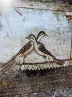 ポンペイの壁画　ヴェスヴィオ山噴火で埋没した地域の壁画集成