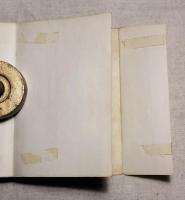 超犬リープ　　サンデーコミックス