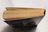 超犬リープ　　サンデーコミックス