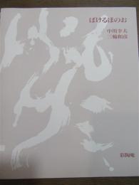 ばけるほのお展　中川幸夫　三輪和彦