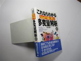 これならわかる多変量解析 : Excelで楽に学ぶ