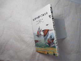 鳥の渡りを調べてみたら