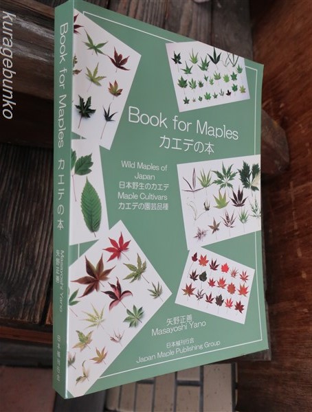 Book for Maples カエデの本　初版　矢野正善 Yahoo!オークション - Book for Maples カエデの本 矢野正善 カエデ も