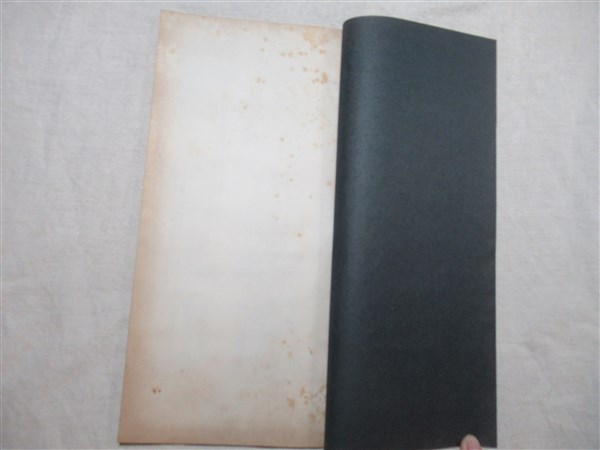 希少！ 「胡じゅ徐三庚篆書合冊」 胡澍徐三庚篆書合冊(松丸東魚 編) / 古本、中古本、古書籍の通販は