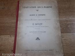 LA VEGETATION SOUS-MARINE　水中植物　海藻など　アールヌーヴォーデザイン　1900年　24枚揃い　仏文