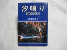 汐鳴り : 海盗を追う