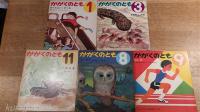 かがくのとも　11冊一括　でんとうがつくまで(10号)　かげ(13号)　ごむのじっけん(30号)　ふた(31号)　みんなのき(36号)　たんぽぽ(37号)　こおろぎ(44号)　ふくろう(53号)　はしる(54号)　すべらない・すべる(58号)　おおさんしょううお(60号)