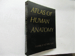 Atlas of human anatomy