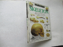  Skeleton (Eyewitness Guides)